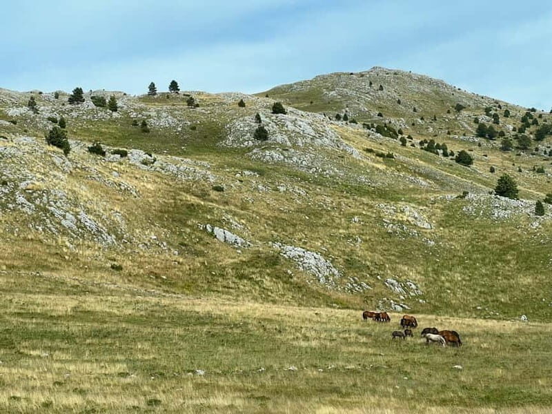 Hiking around Sarajevo: Lukomir Village Full Day Hiking Tour - Who Should Book This Tour?