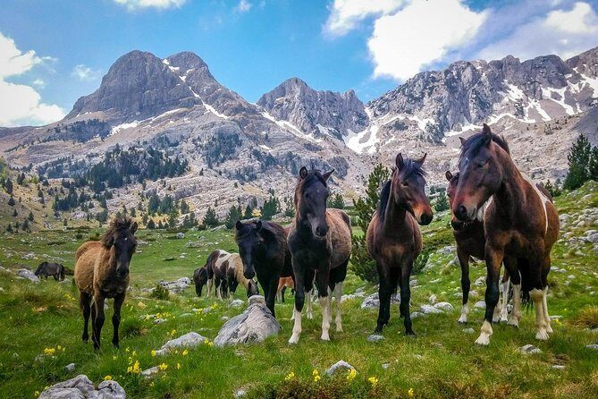 Hiking between Bosnia and Herzegovina - Who Will Appreciate This Tour?