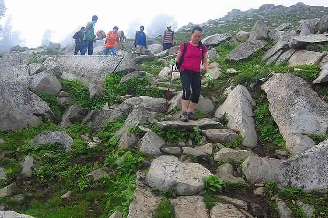 Hiking Day Tour to Triund from Dharamshala - An In-Depth Look at the Triund Hike Experience