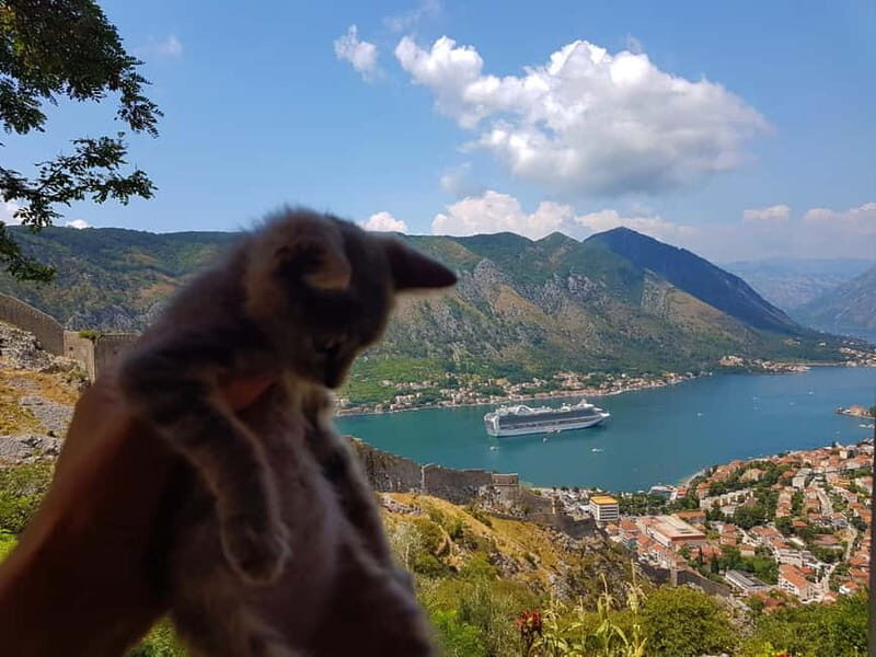 Hiking downhill Krstac to Kotor, visit San Giovanni fortress - Frequently Asked Questions