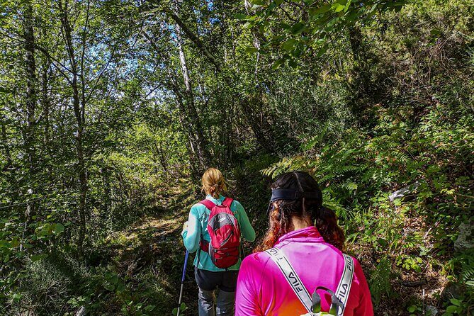 Hiking Experience in Asturias, from Gijón or Oviedo - Pricing and Value