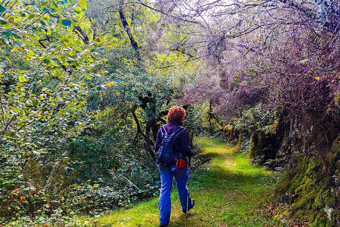 Hiking Experience in Asturias, from Gijón or Oviedo - Who Should Consider This Tour?