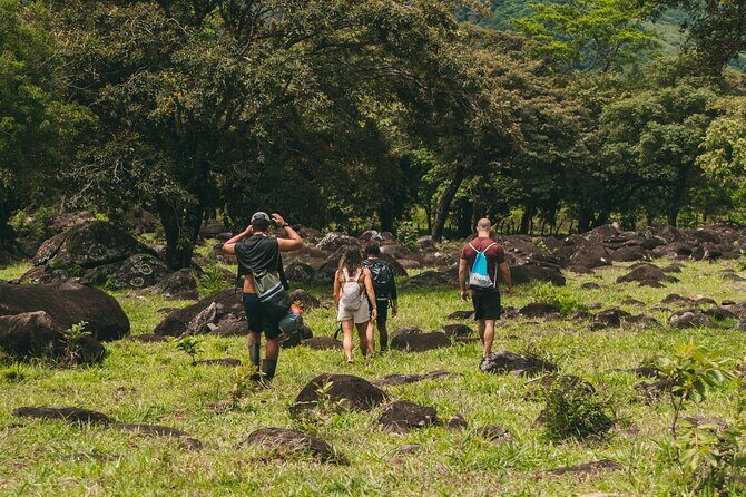 Hiking Experience in Caldera Transportation Included - The Sum Up: Why Choose This Tour?