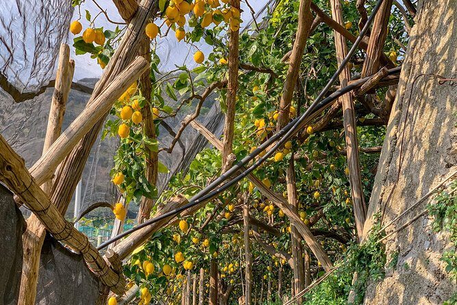 Hiking Experience - Ravello & Path of the Lemons - FAQ