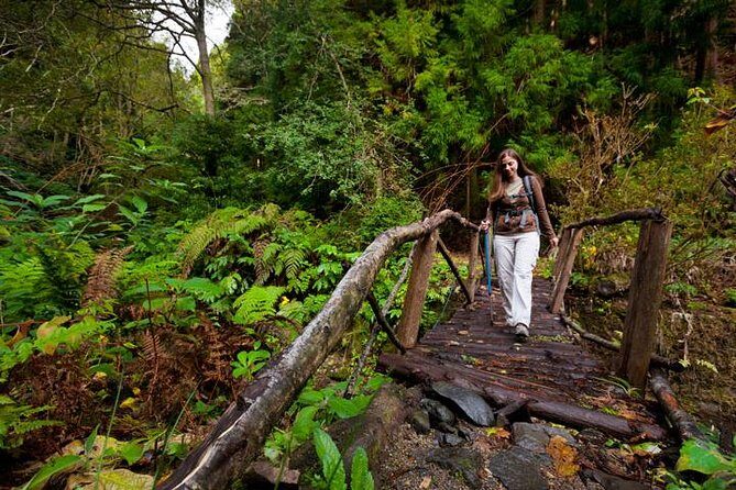 Hiking Faial da Terra + Van Tour Nordeste - Exploring São Miguel’s Natural Wonders and Abandoned Villages