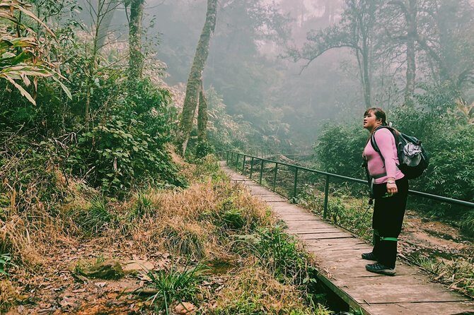 Hiking Fansipan in 1 day - Exploring the Fansipan Trek: An In-Depth Review