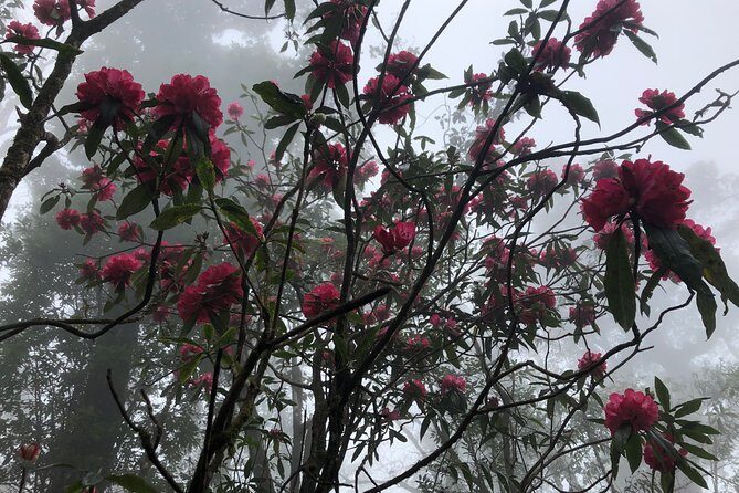 Hiking Fansipan in 1 day - FAQs