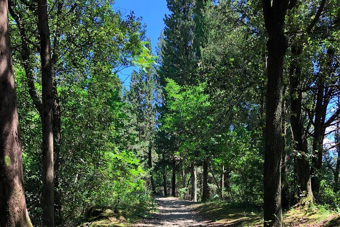 Hiking Florence Tuscany hills with lunch & wine - Who Should Consider This Tour?
