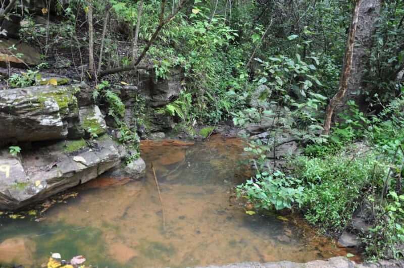 Hiking in Benito Juárez National Park - Why Travelers Keep Coming Back