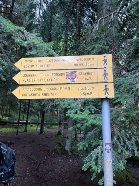 Hiking in Borjomi from Tbilisi - Key Points