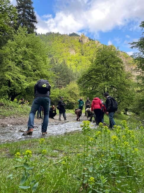 Hiking in Borjomi from Tbilisi - The Sum Up