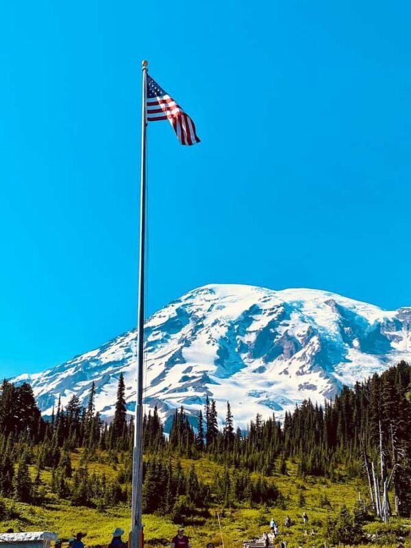 Hiking in Mount Rainier Private Tour from Seattle - Who Is This Tour Best Suited For?