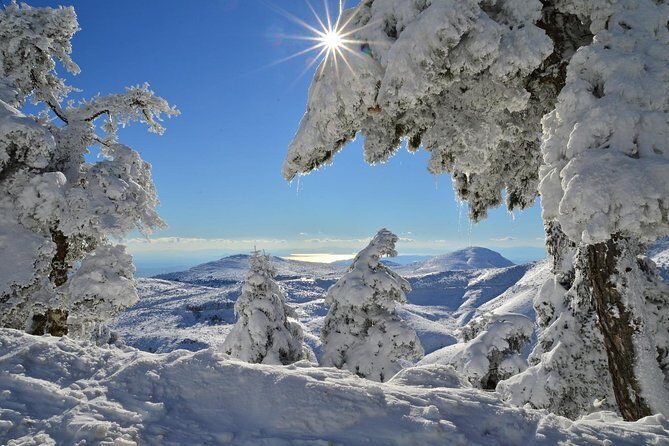 Hiking in Parnitha National Park from Athens - Why Pick This Tour?