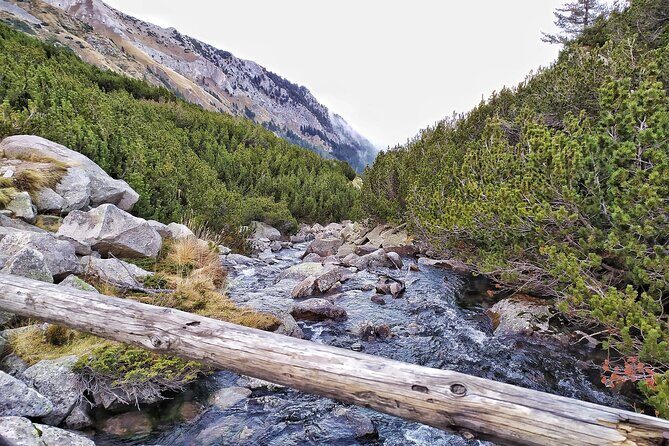 Hiking in Pirin- the UNESCO World Heritage Natural Park with a visit of Bansko - Who Should Consider This Tour?