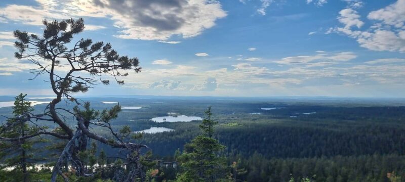 Hiking in Riisitunturi National Park - An In-Depth Look at the Riisitunturi National Park Experience