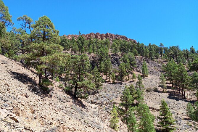 Hiking in Tenerife's Great Outdoors - Logistics and Practicalities