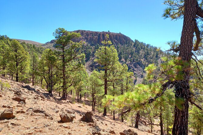 Hiking in Tenerife's Great Outdoors - What Are the Downsides?