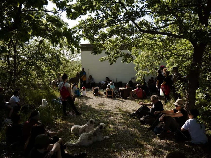 Hiking in the Alta Murgia National Park: the forest and the ancient farmhouse - Practical Details and Value