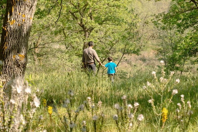 Hiking in the Alta Murgia National Park: the forest and the ancient farmhouse - FAQ