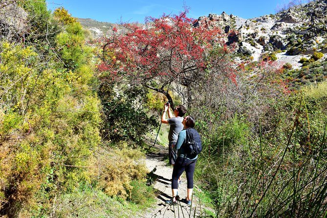 Hiking in the Canyon of the Monachil Cubs in Granada - Final Thoughts: Who Should Consider This Tour?