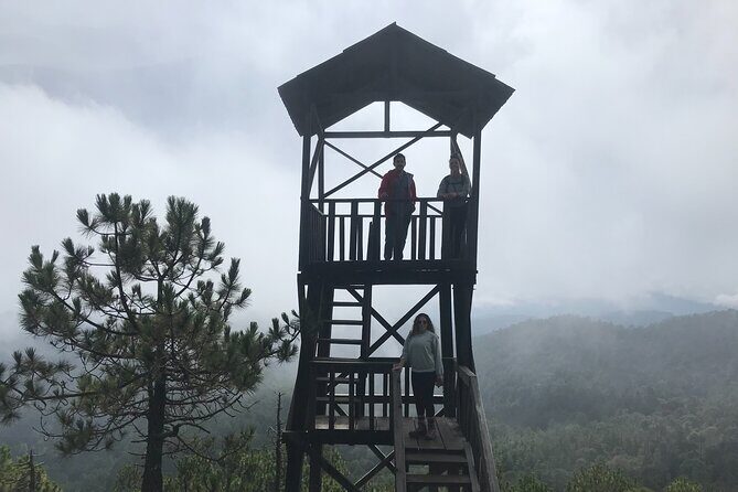 Hiking in the Enchanted Forest of Ixtepeji with Rescue Dogs - Key Points