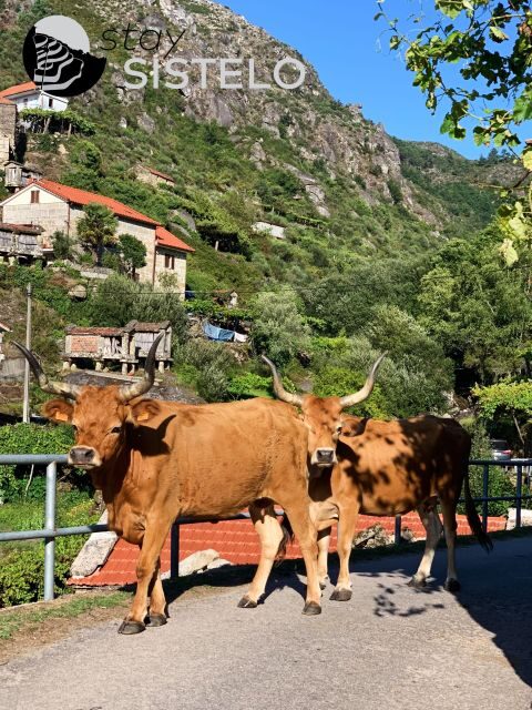 Hiking in the "Mini Tibet" of Portugal - Hiking in the "Mini Tibet" of Portugal: An Authentic Mountain Adventure