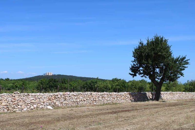 Hiking in the Murgia of Castel del Monte - The Value of This Experience