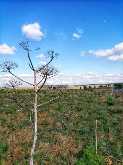 Hiking in the Murgia of Castel del Monte - Final Thoughts