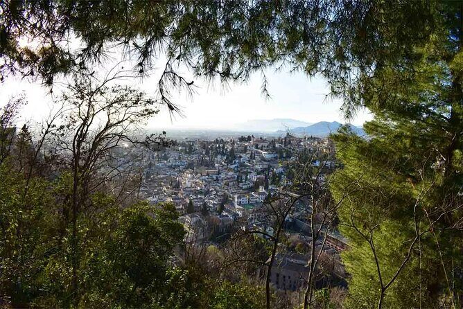 Hiking in the natural park on the outskirts of the Alhambra - Detailed Review