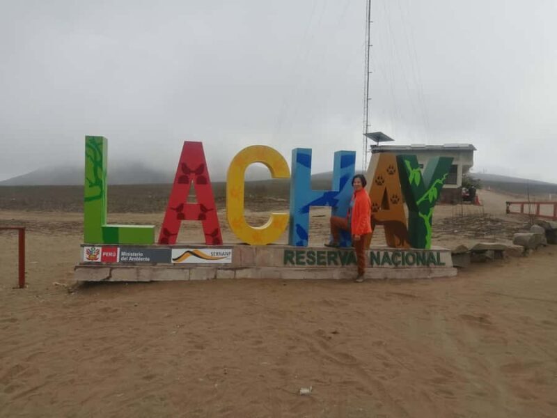 Hiking Lomas de Lachay in Lima - In-Depth Look at the Experience