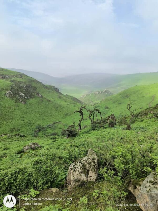 Hiking Lomas de Lachay in Lima - The Sum Up