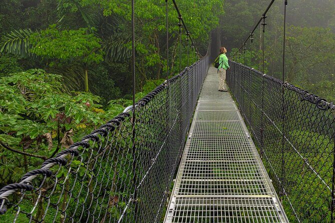 Hiking Lovers (Hanging Bridges + La Fortuna Waterfall + Volcano Hike) - The Value and Suitability