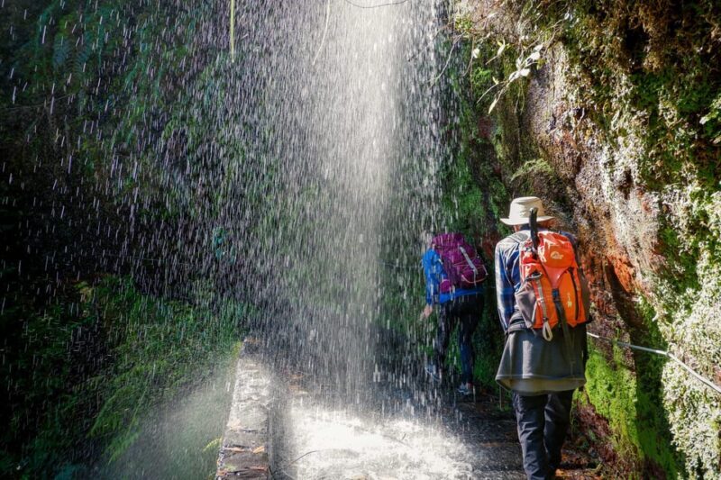 Hiking Madeira: Levada do Rei and the Majestic Laurissilva - Hiking Madeira: Levada do Rei and the Majestic Laurissilva