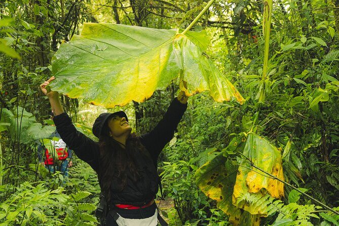 hiking medellin and hidden waterfalls - Who Will Love This Tour?