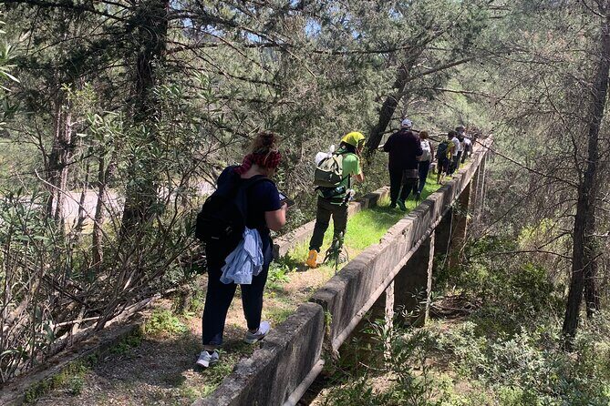 Hiking on Rhodes countryside. Discover the flora, fauna, history, tradition - The Value of This Tour
