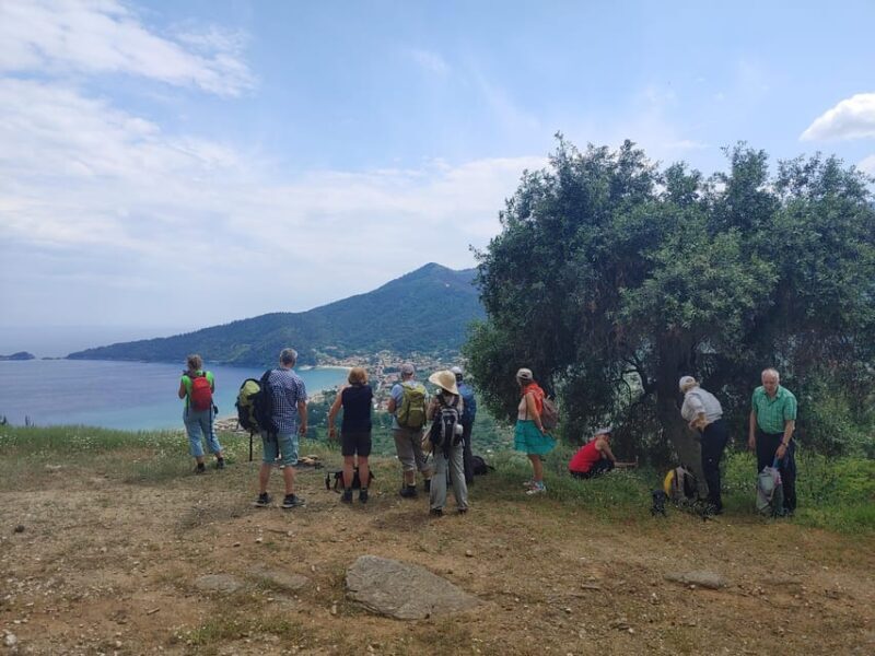 Hiking on Thasos Island - In-Depth Review of the Thasos Island Hiking Tour