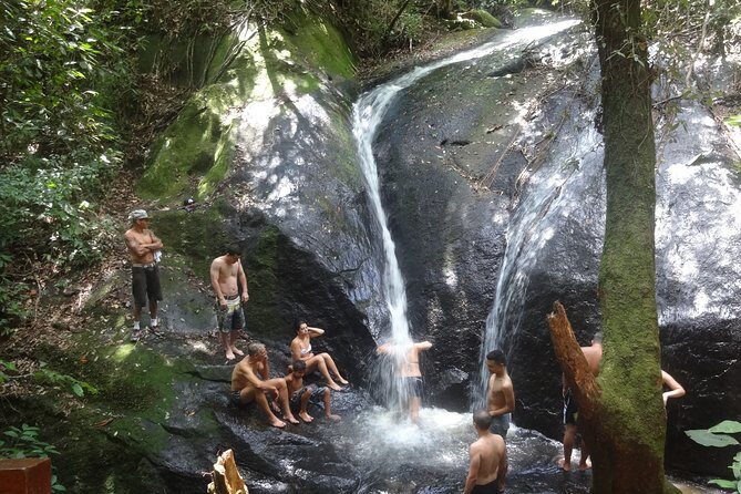 Hiking on the Cantareira Park - Detailed Review of the Hiking on Cantareira Park Tour