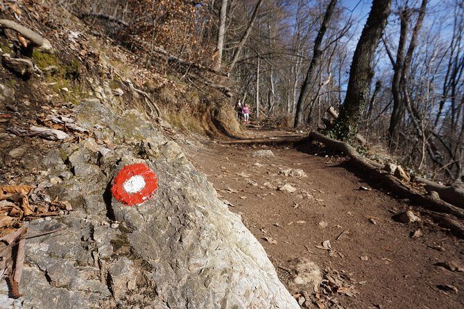 Hiking on the Edge of Ljubljana - Who Should Consider This Tour?