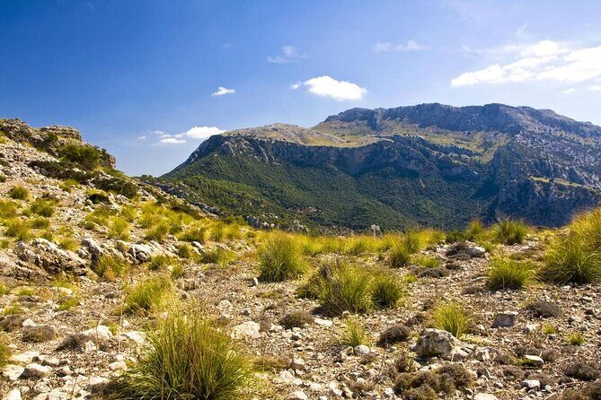 Hiking Private Tour in Pollensa - Exploring Mallorca’s Natural Treasures