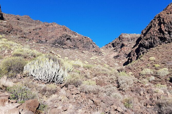Hiking Route to Guguy or Guigui Beach - Who Would Love This Tour?