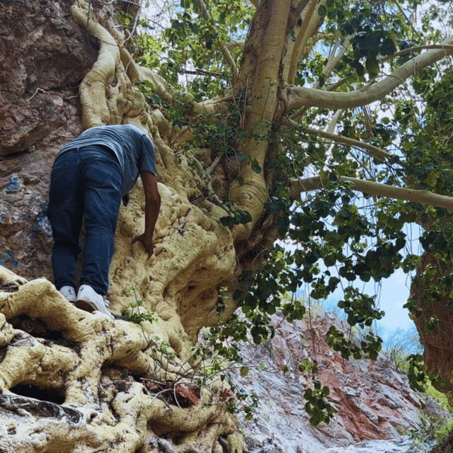 Hiking Ruta del Novillo: explore Sonora's natural surroundings. - Final thoughts
