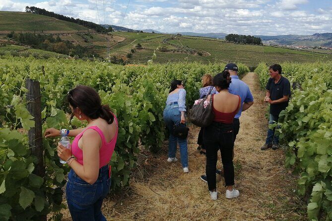 Hiking Through Douro Valley Wine Region - An In-Depth Look at the Douro Valley Hiking Experience