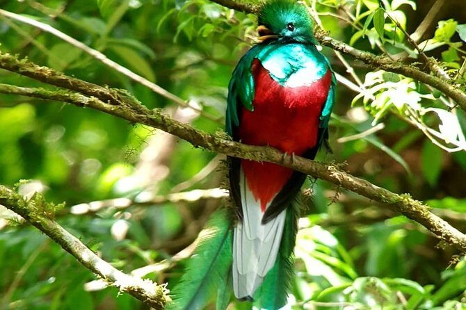 Hiking to Curi-Cancha Reserve - FAQ