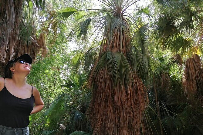 Hiking to Desert Palm Oases of San Carlos with a Biologist - The Experience in Detail: What to Expect on This Nature-Filled Journey