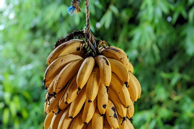 Hiking To Minca - Key Points