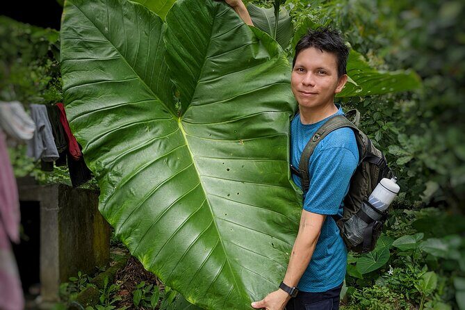 Hiking To Minca - FAQ