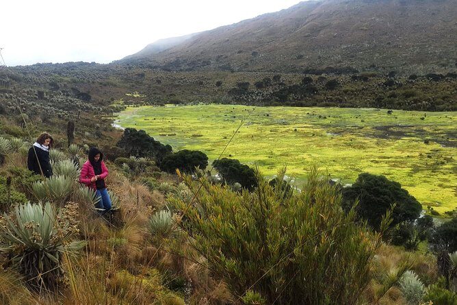 Hiking to the largest paramo on earth : Sumapaz - The Experience in Detail