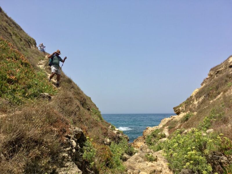 Hiking Tour Along the West Coastline - Hiking Tour Along the West Coastline: A Complete Guide for Adventurous Travelers