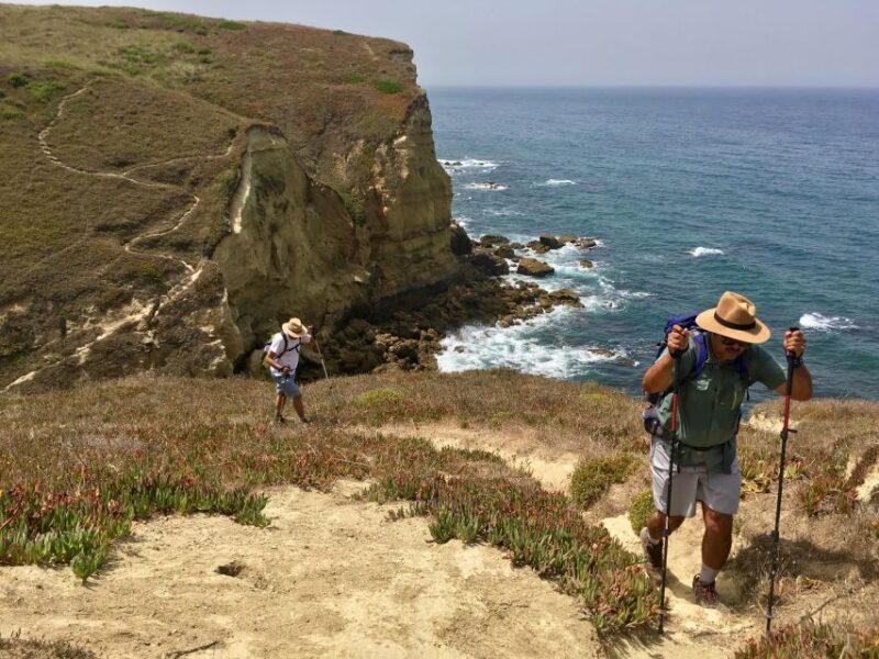 Hiking Tour Along the West Coastline - Practical Considerations and Tips