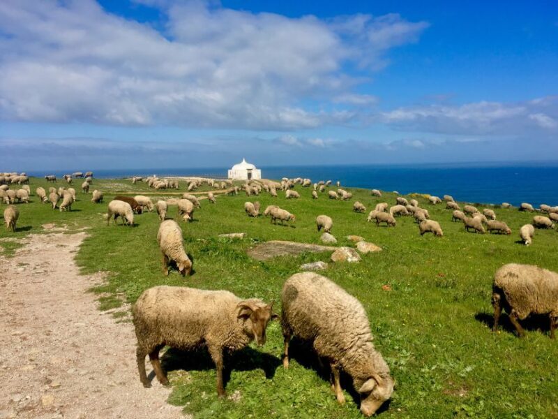 Hiking Tour Along the West Coastline - Analyzing the Value